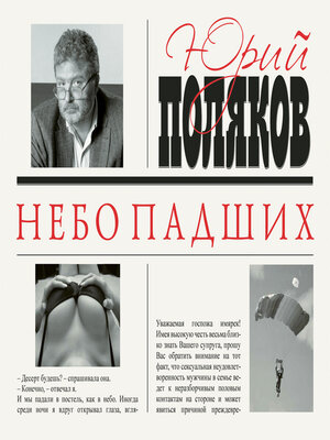 cover image of Небо падших